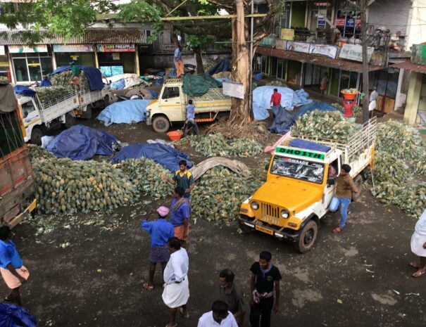 asiasbiggestpineapplemarketnearthepimenta